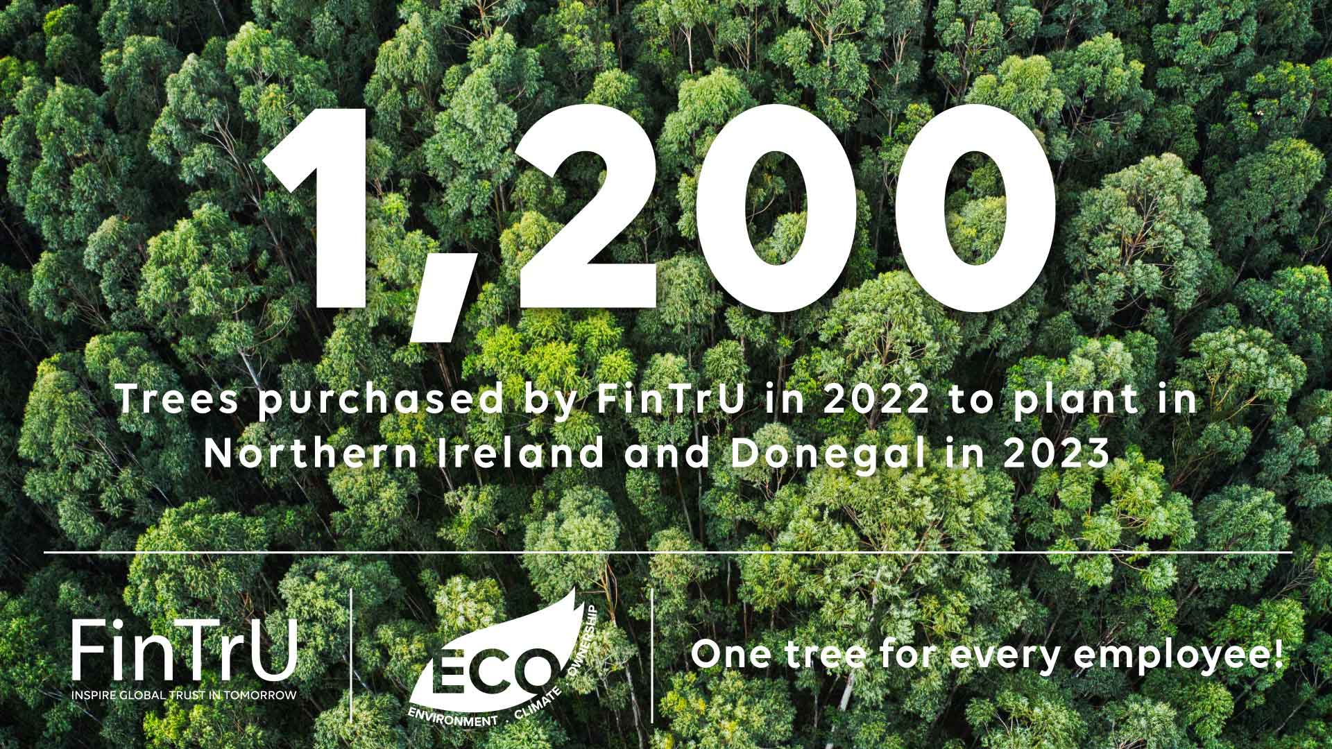 Advertising design. 1,200 trees purchased in 2022 to plant in Northern Ireland and Donegal in 2023